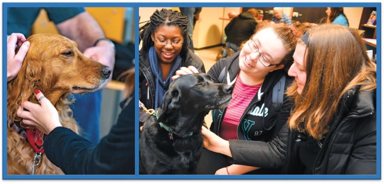 Still a Chance to See Comfort Dogs