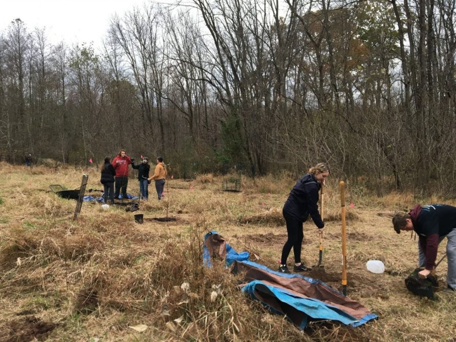 Bucks Students Restore Trail at Tyler State Park