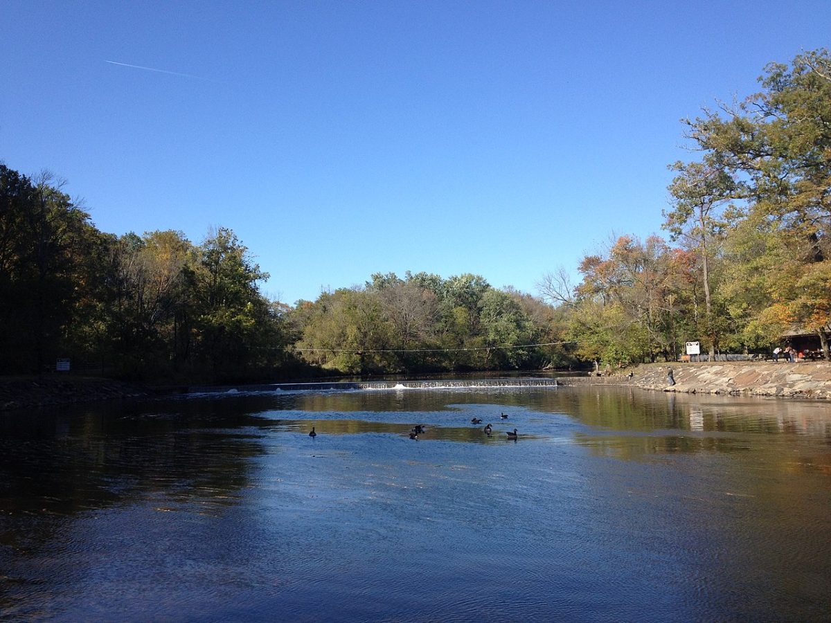 Photo+of+Neshaminy+Creek+in+Tyler+State+Park+courtesy+Wikimedia+Commons