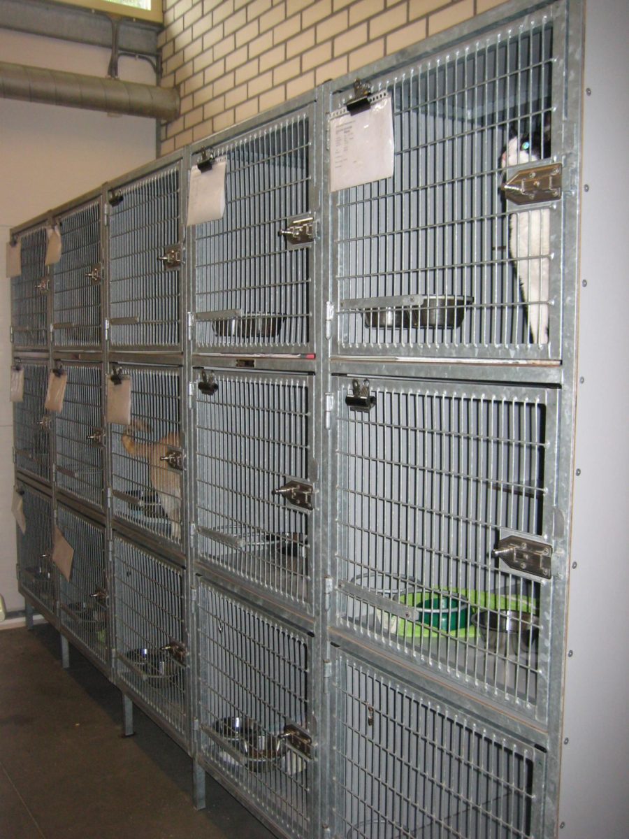 Quarantine_animal_shelter