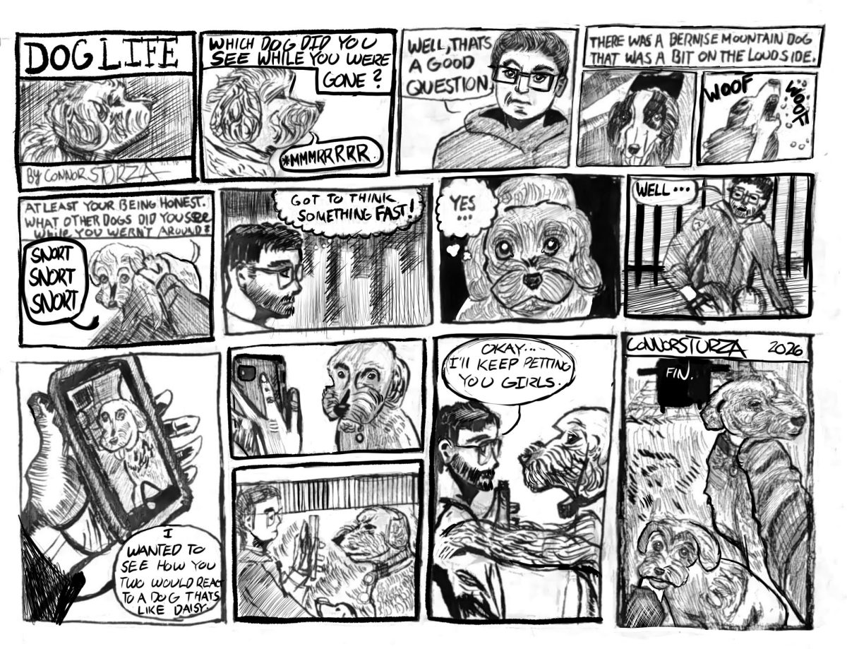 Dog Life, by Connor Sturza
